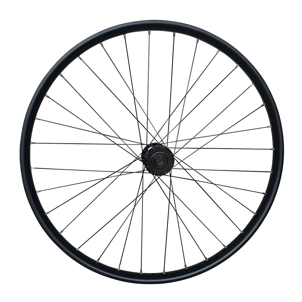 15X100mm THRU AXLE 26" (ETRTO 559x25) MTB Downhill Dirt Jump Bike Front Wheel - Taiwan Sealed Bearings Hub - Tubeless Compatible - Lightweight 900g