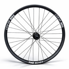 29” MTB / E-Bike Rear Wheel – 6-Bolt Disc – 12×148 Boost Thru Axle – 30mm Rim – Tubeless Compatible – Performance Hub – HG / XD / Microspline – 8–12 Speed