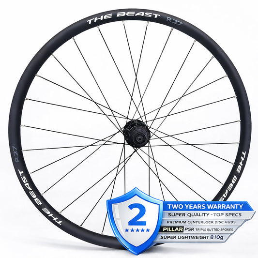 700c Road Rear Wheel – Center Lock Disc – QR / Thru Axle – 21mm Rim – Tubeless Compatible – Performance Hubs – HG / XDR / Microspline – 8–12 Speed – 810g