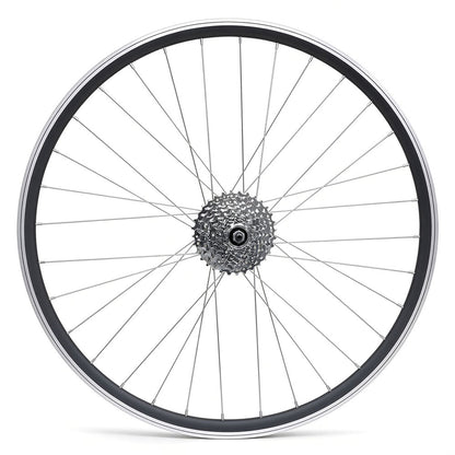 29″ MTB Rear Wheel – Rim & Disc Brake – QR – 19mm Rim – 7/8/9 Speed Freewheel