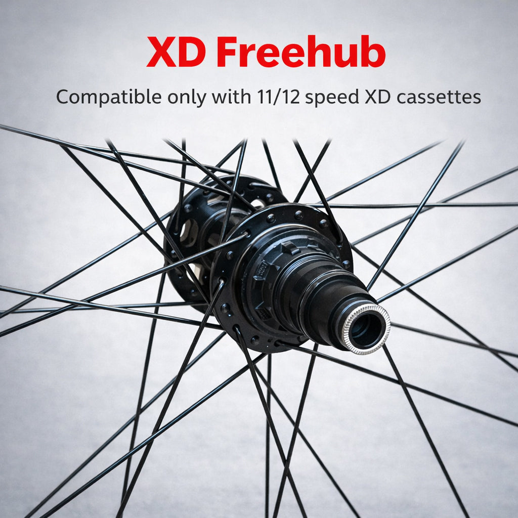 29” MTB Rear Wheel – 6-Bolt Disc – QR / Thru Axle / Boost – 25mm Rim – Tubeless Compatible – Performance Hub – HG / Microspline / XD – 8–12 Speed