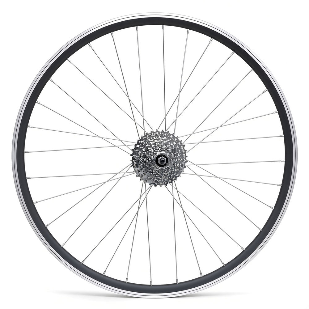 700c Hybrid Rear Wheel – Rim & Disc Brake – QR – 19mm Rim – 7/8/9 Speed Freewheel